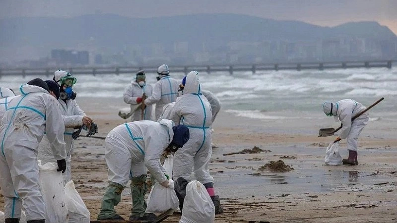 Масштабная ликвидация последствий экологической катастрофы на Черноморском побережье