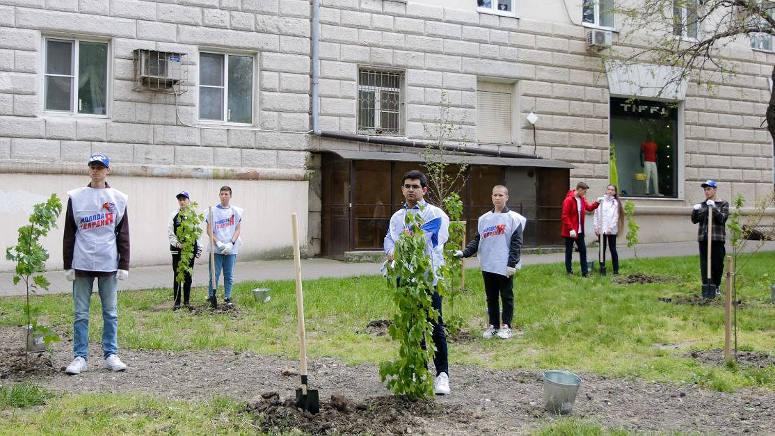 В память о погибших в годы войны в Новороссийске высадили 10 кленов
