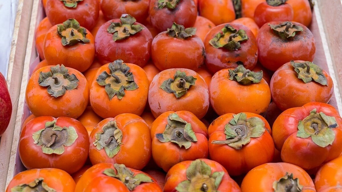 В Краснодаре уничтожили 20 тонн зараженной хурмы из Узбекистана