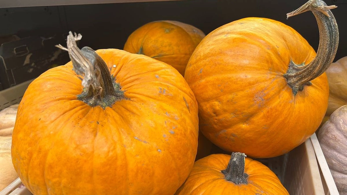 Названы три главные причины, из-за которых урожай фруктов в Краснодарском крае упал на пятую часть