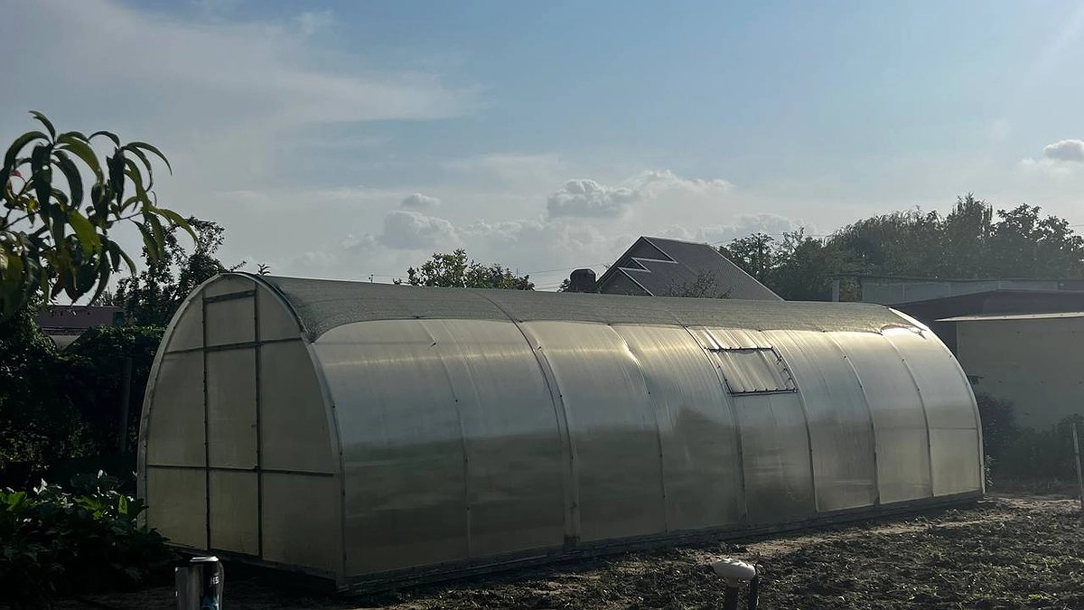 Апрельский соблазн и майский расчёт: список культур, которые сгниют в холодной земле, и тех, кому сейчас самое место на грядке