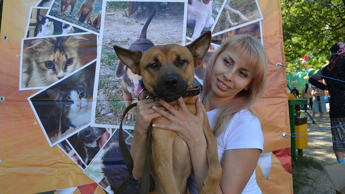 В субботу в Пионерской роще Новороссийска пройдет выставка бездомных животных