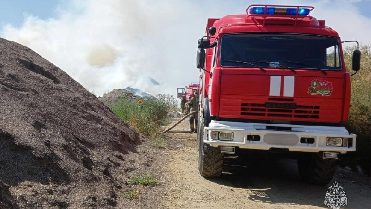 Главная картинка новости: Для тушения лесного пожара в Новороссийске привлекли 10 человек