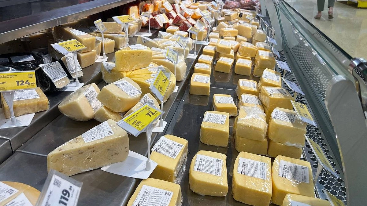 Не все сыры одинаково полезны: топ-5 сортов, которые врачи советуют есть каждый день