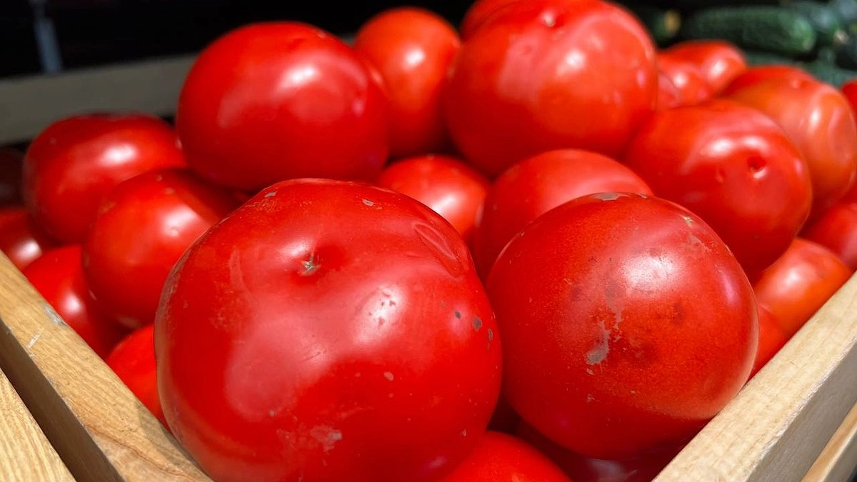 Главная картинка новости: 2 жмени на ведро, и томаты защищены от фитофторы: спасаем урожай дешевым и действенным способом