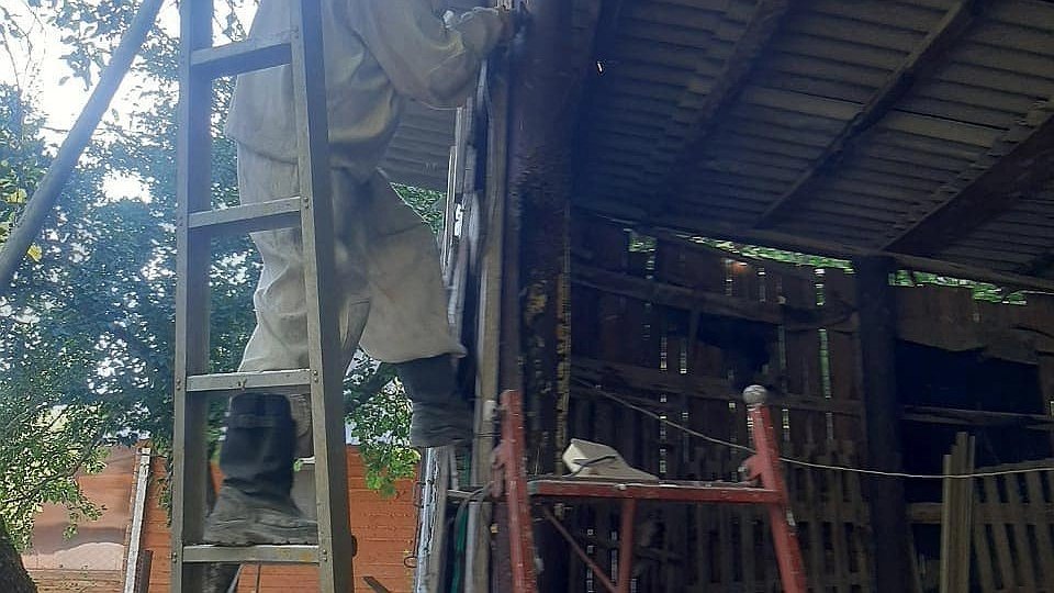 В пригороде Новороссийска пчелы поселились в подпорной трубе частного дома