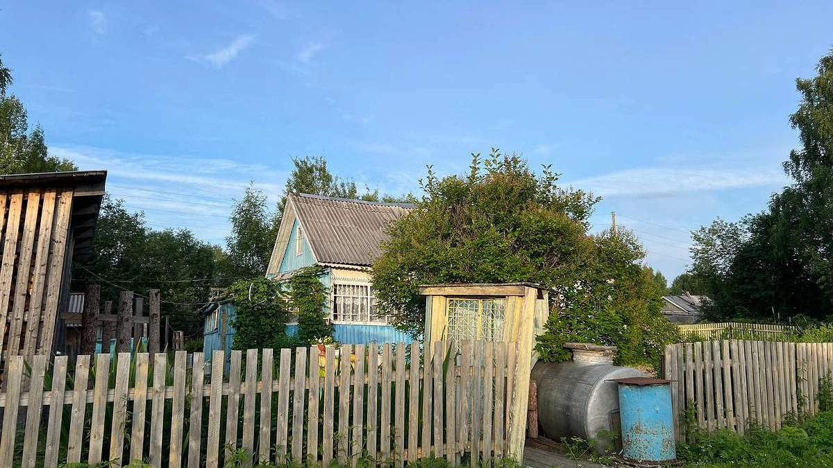 Теперь забыли о чистке выгребной ямы — сосед подсказал метод: работает безотказно годами