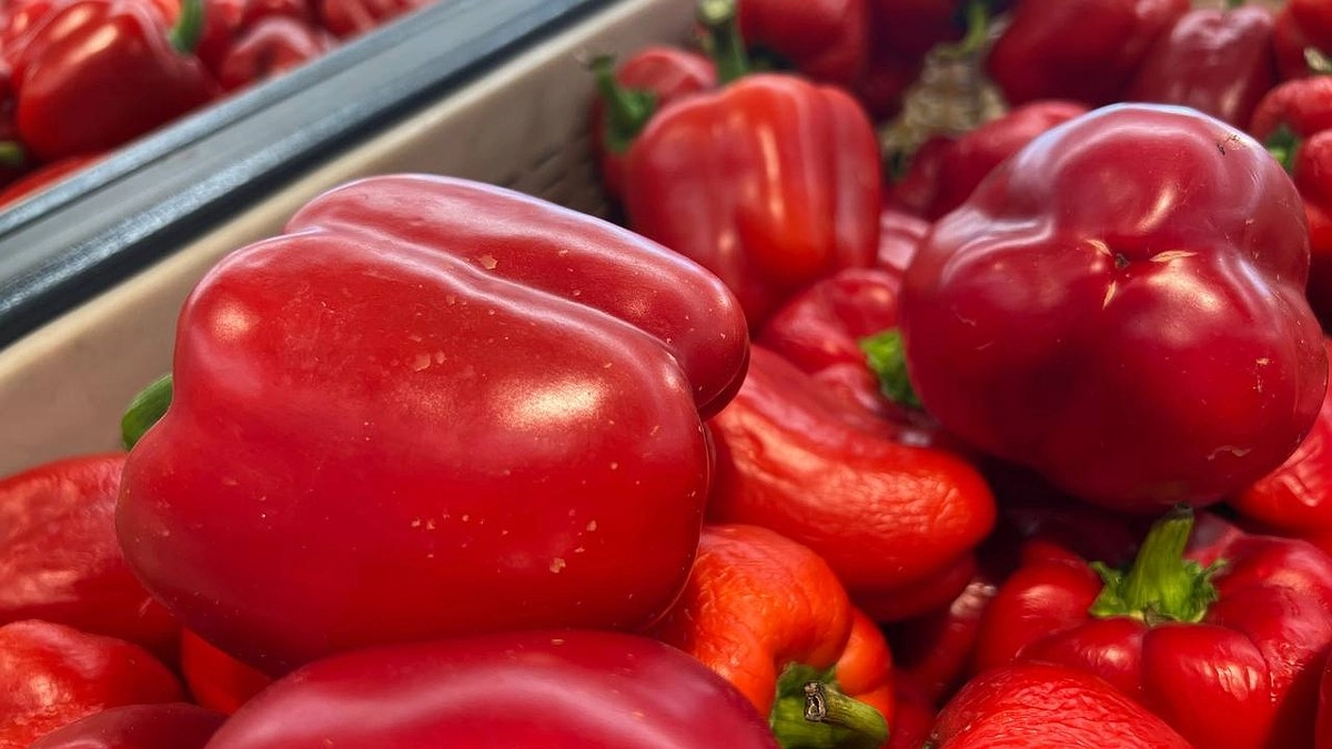 Эти перцы дают "крутой" урожай даже на Севере: дачники семена запасли уже в декабре - 5 сортов