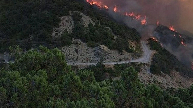 Главная картинка новости: Под Новороссийском продолжают тушить сильный пожар, площадь пожара под Новороссийском увеличилась до 51 га