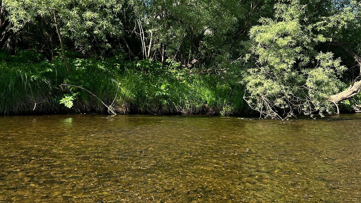 Тела двух мужчин найдены в водоёмах Кубани 29 июля
