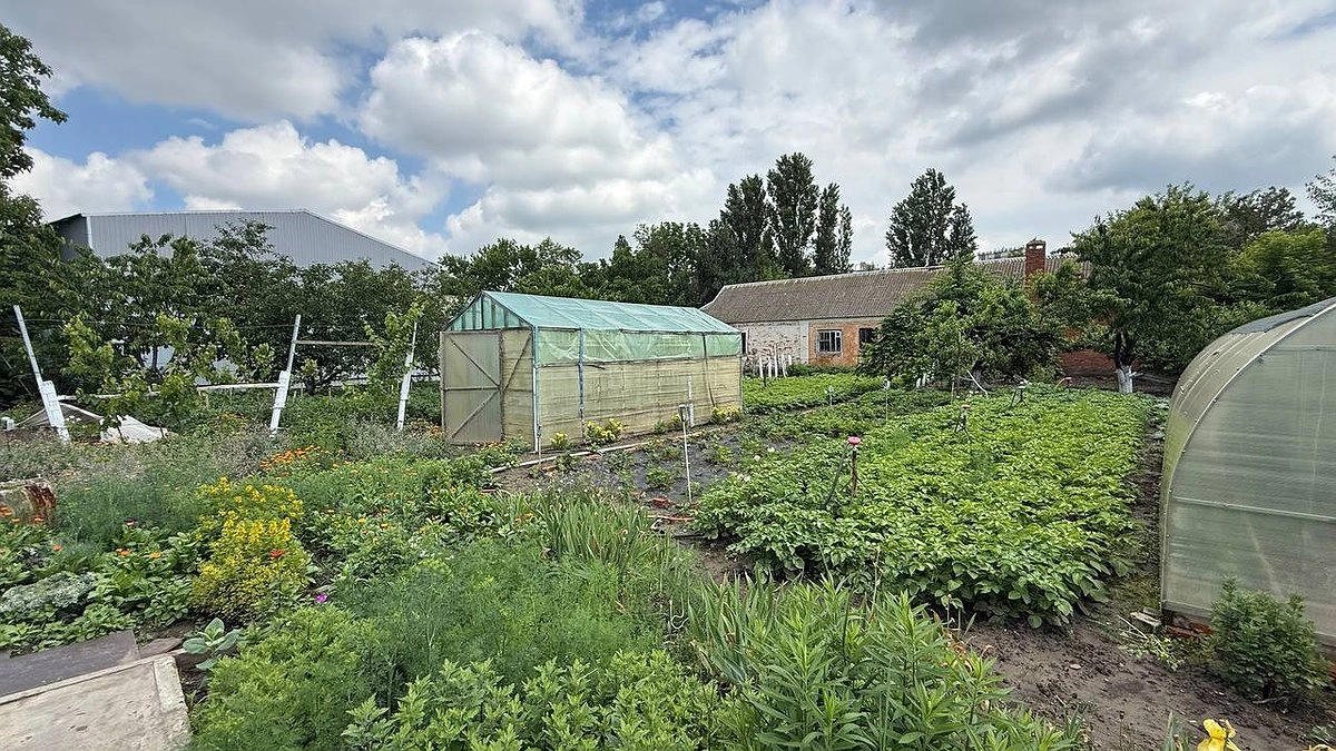 Главная картинка новости: Использую средство с кухни — и сорняки исчезнут навсегда: лайфхак для умных дачников