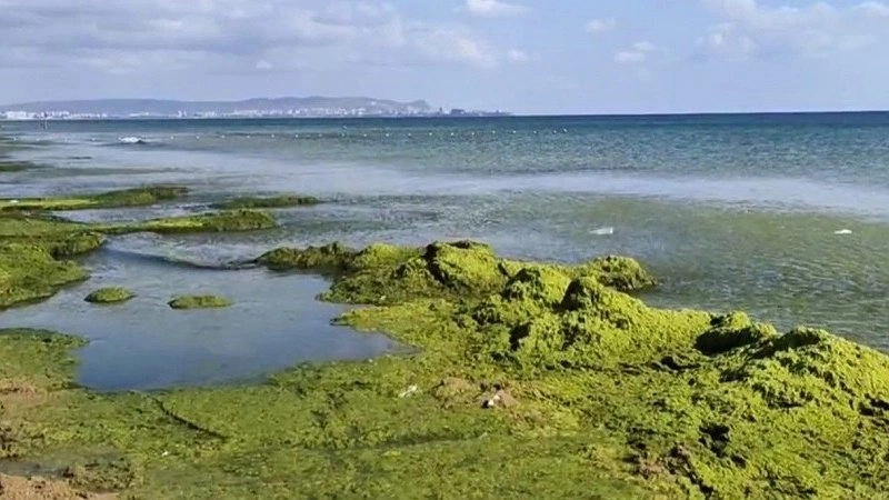 Главная картинка новости: Туристы Краснодарского края требуют вернуть деньги за испорченный отпуск