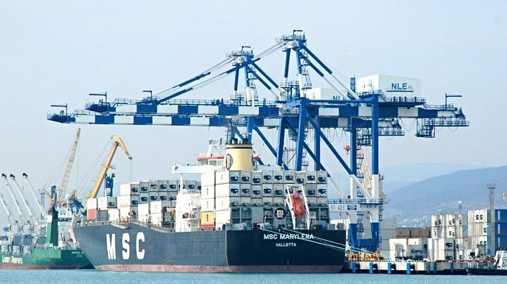 Прокуратура провела проверку из-за травмирования докера-механизатора в порту Новороссийска