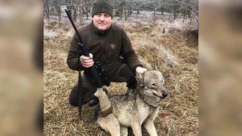 Увеличение числа хищников в Новороссийске: причины и меры борьбы