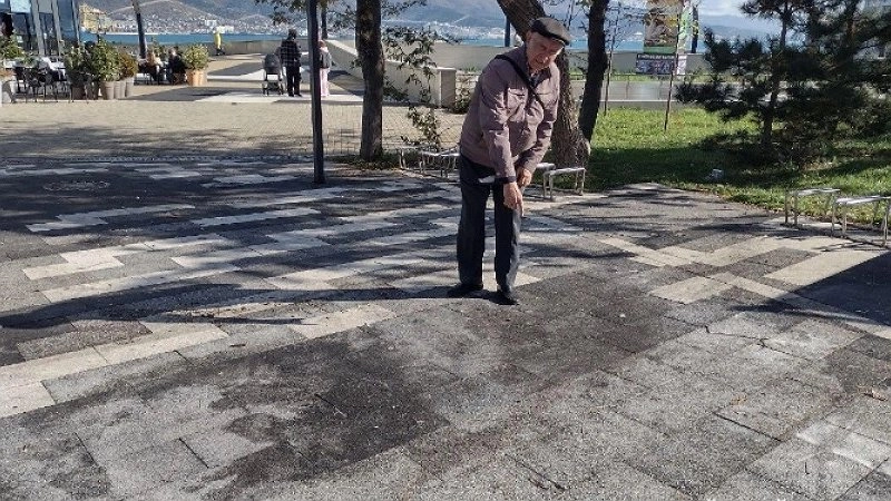 Последствия проведения «Хамса фест» в Новороссийске