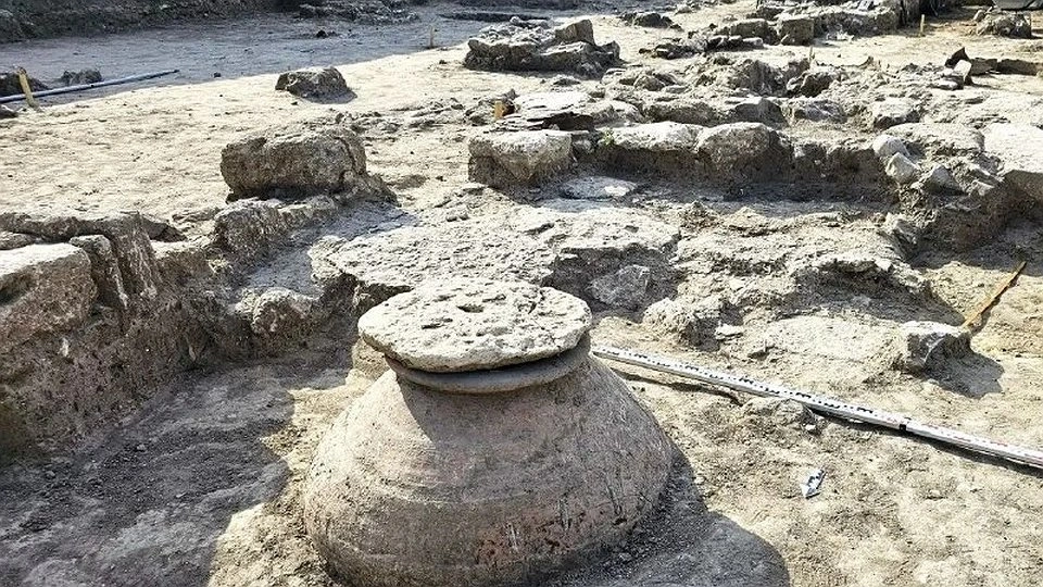 Главная картинка новости: 233 археологические экспедиции работали в 2025 году в Краснодарском крае, включая раскопки в Новороссийске