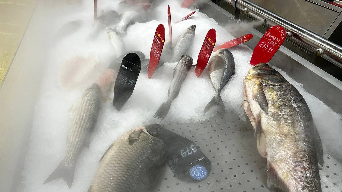 Врачи назвали самую полезную рыбу для детей и взрослых: улучшает мозговую деятельность и лечит сердце