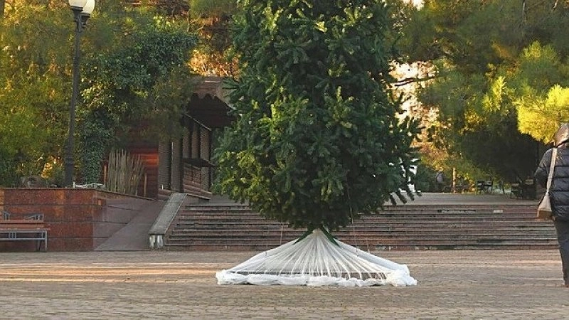 В Ленинском парке Новороссийска установили первую новогоднюю елку