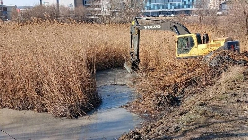 Техника разрушила береговую зону: проблемы благоустройства парка Южных прудов в Новороссийске