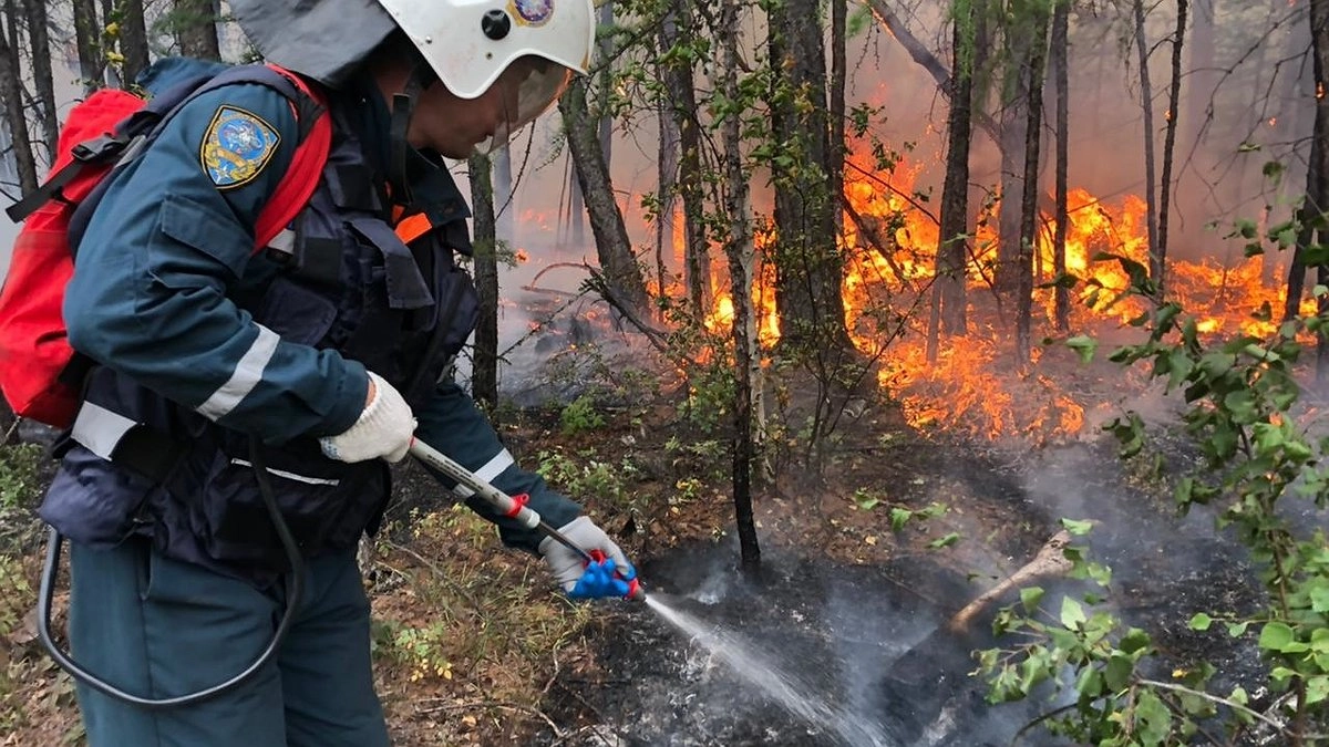 Главная картинка новости: Новороссийск в огненной ловушке: за нарушение запрета — огромные штрафы