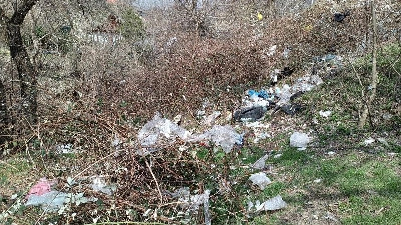 Новороссийск готовится к субботнику: местный житель призывает горожан на уборку