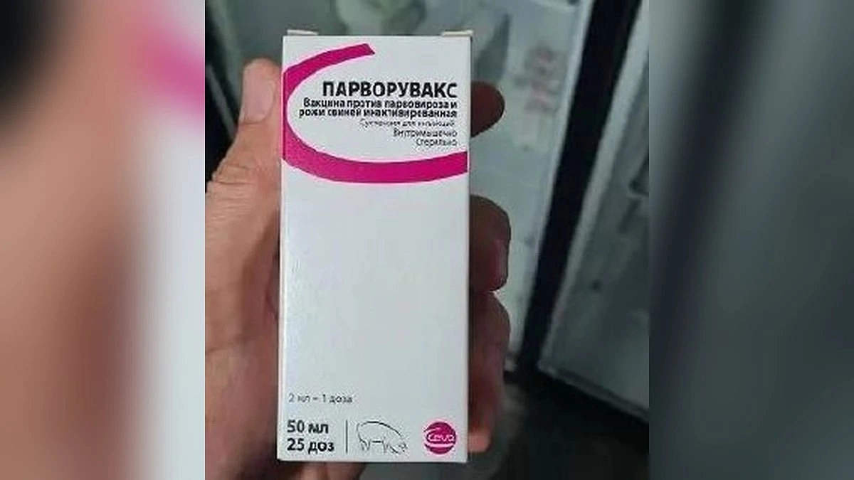 Россельхознадзор накрыл поставки поддельных ветпрепаратов на Кубани