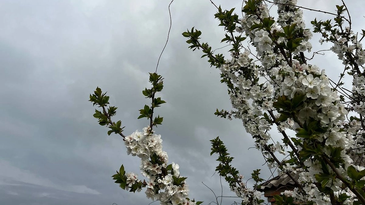 Не ждите тепла: с 10 июня нагрянет похолодание и дожди