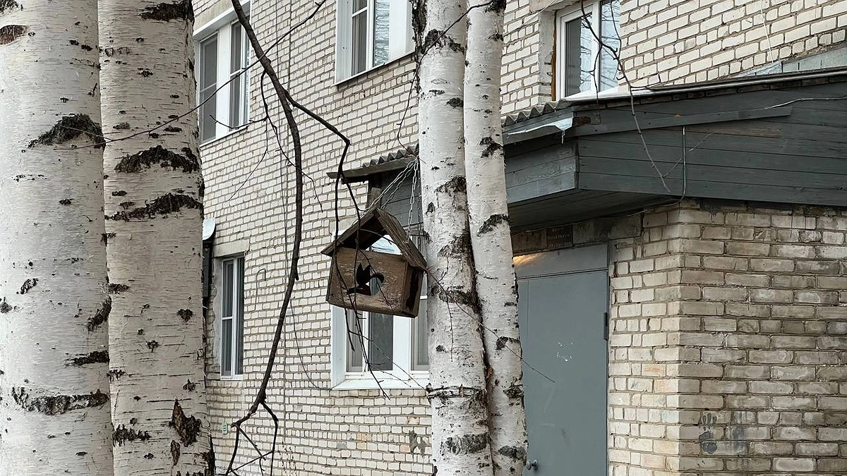 Жильцы получат право контролировать каждый ремонт: новый закон