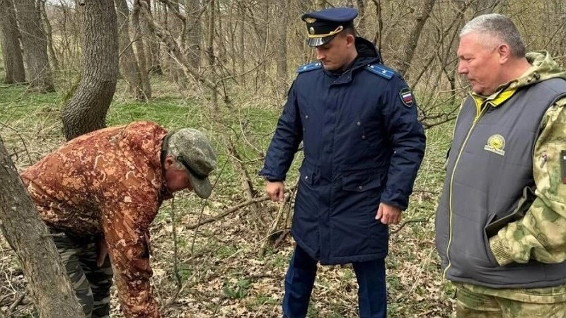 В Новороссийске задержан мужчина за незаконную вырубку деревьев