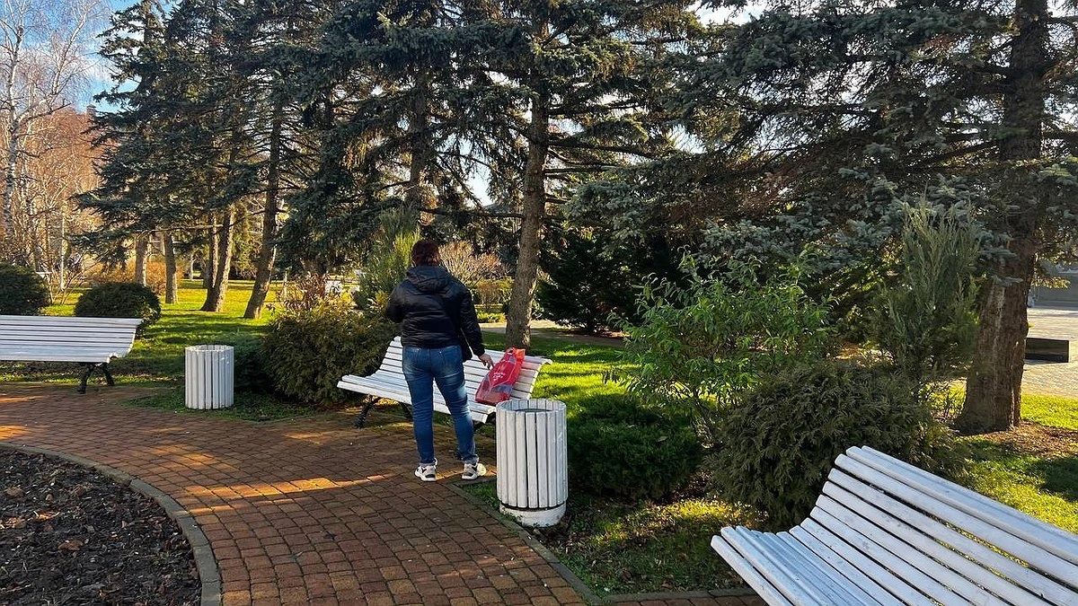 Главная картинка новости: В Краснодаре завершат высадку деревьев к концу апреля