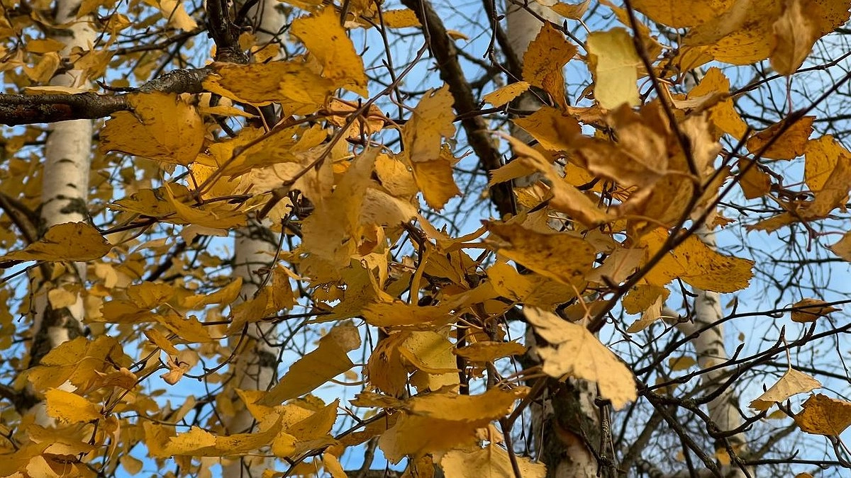 Погода на понедельник в Новороссийске: когда ждать дождь и можно ли купаться