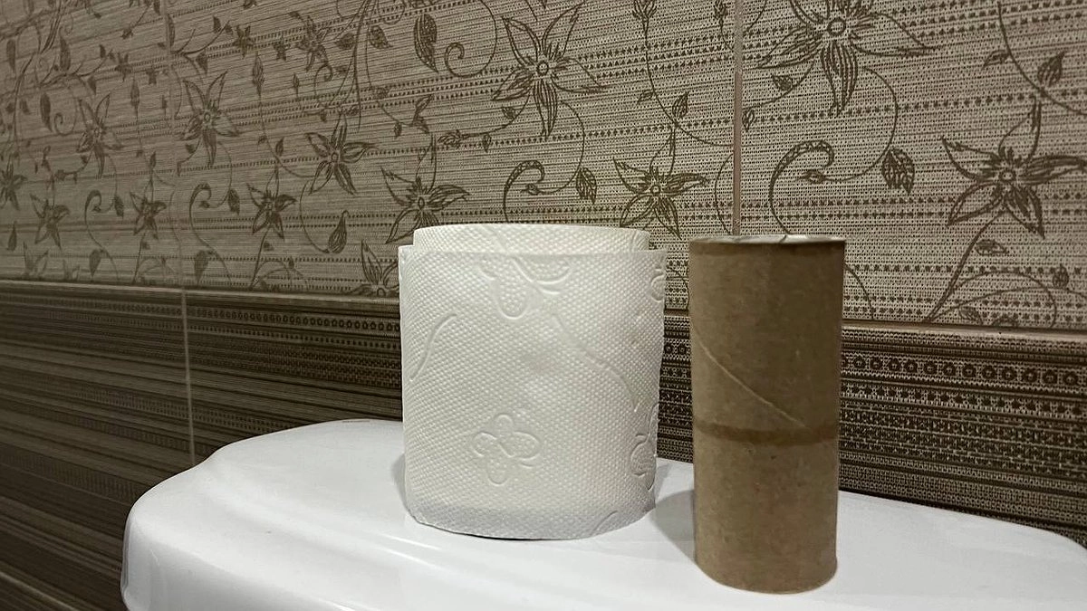 Главная картинка новости: Втулки от туалетной бумаги берегу как зеницу ока: вот как их применяю — очень полезная вещь для решения многих задач