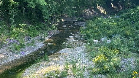 Завтра под Новороссийском пройдет акция по уборке берегов Озерейки