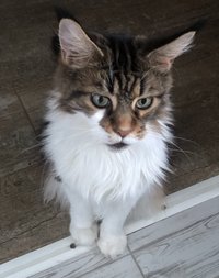 Фотография автора: Полина Мороз 