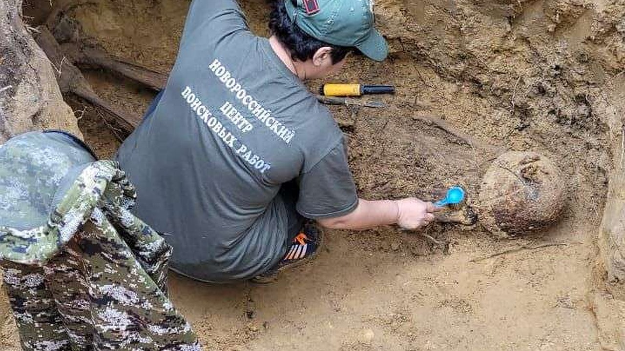 Главная картинка новости: В Новороссийске во время прокладки трубы нашли человеческие останки