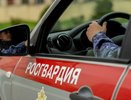 Новороссиец залез в чужое авто за магнитолой и уснул