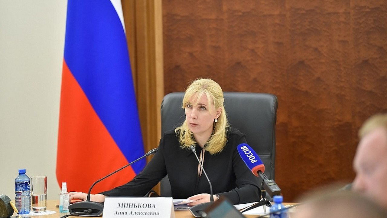 Главная картинка новости: Анна Минькова поручила провести обходы кубанских домов и проверить отопительные приборы