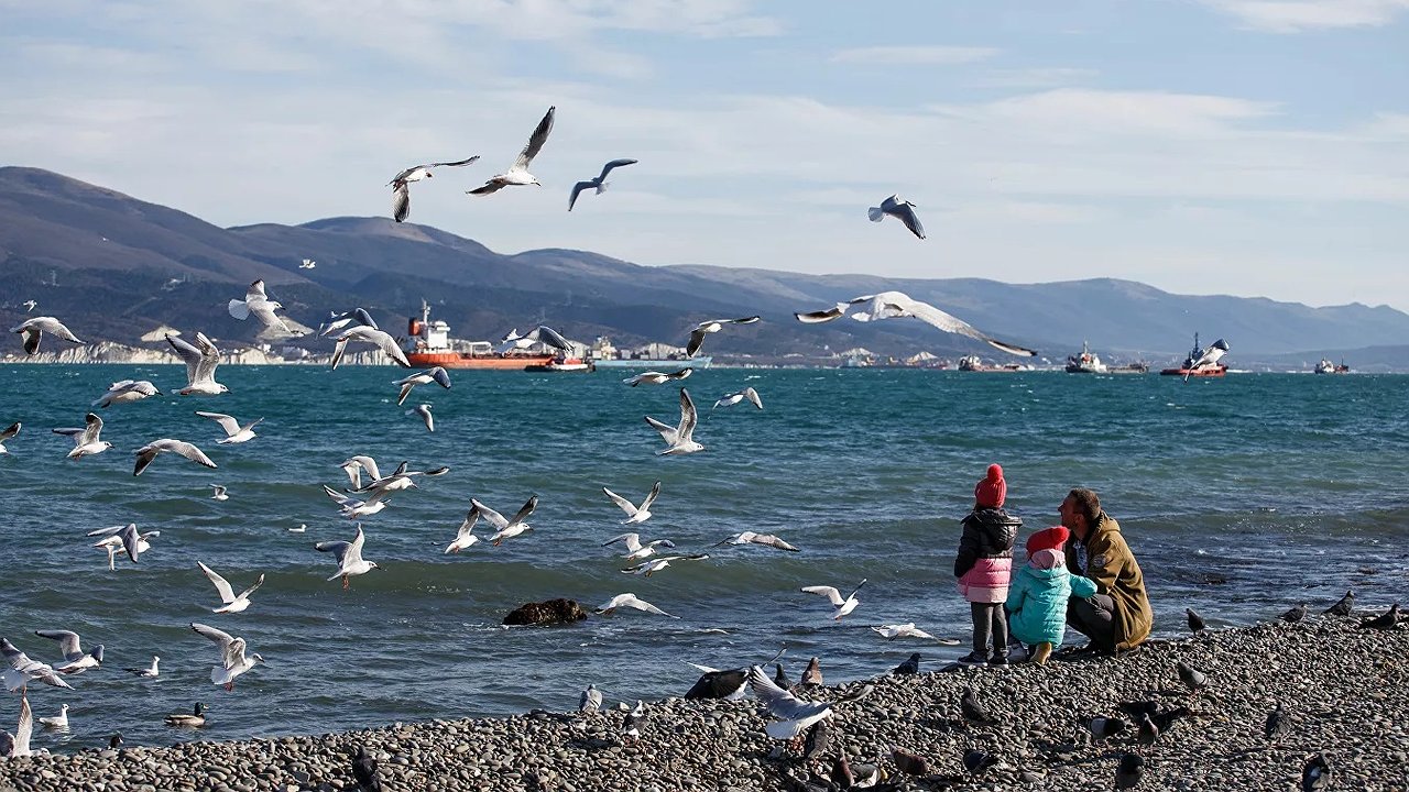 Главная картинка новости: В Новороссийске из-за плохой погоды ввели режим «Повышенной готовности»
