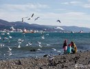 В Новороссийске из-за плохой погоды ввели режим «Повышенной готовности»