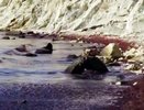 Море вблизи Новороссийска снова изменило цвет