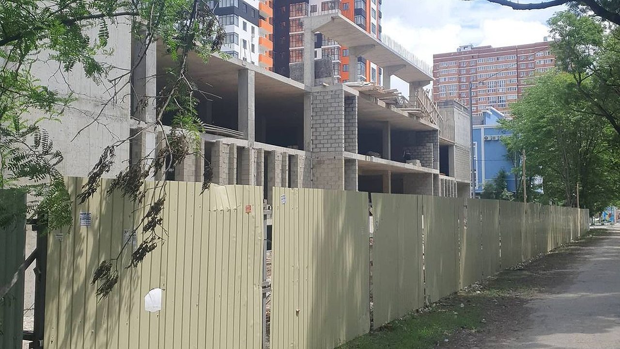 Главная картинка новости: Власти Новороссийска и ОБЭП устанавливают, кто вырубил акации на 12 миллионов рублей