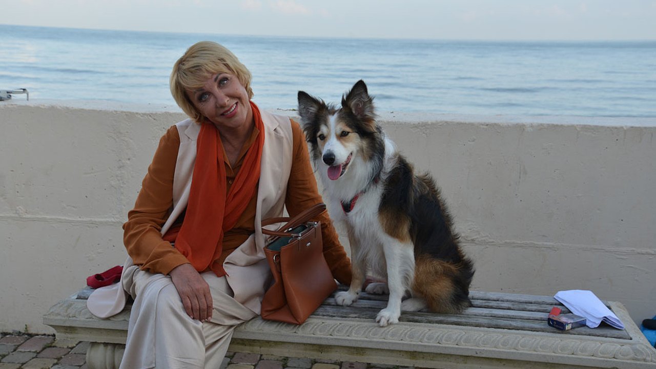 Главная картинка новости: Через 5 дней в эфир выйдет сериал с Еленой Яковлевой и бордер-колли Сири из Новороссийска