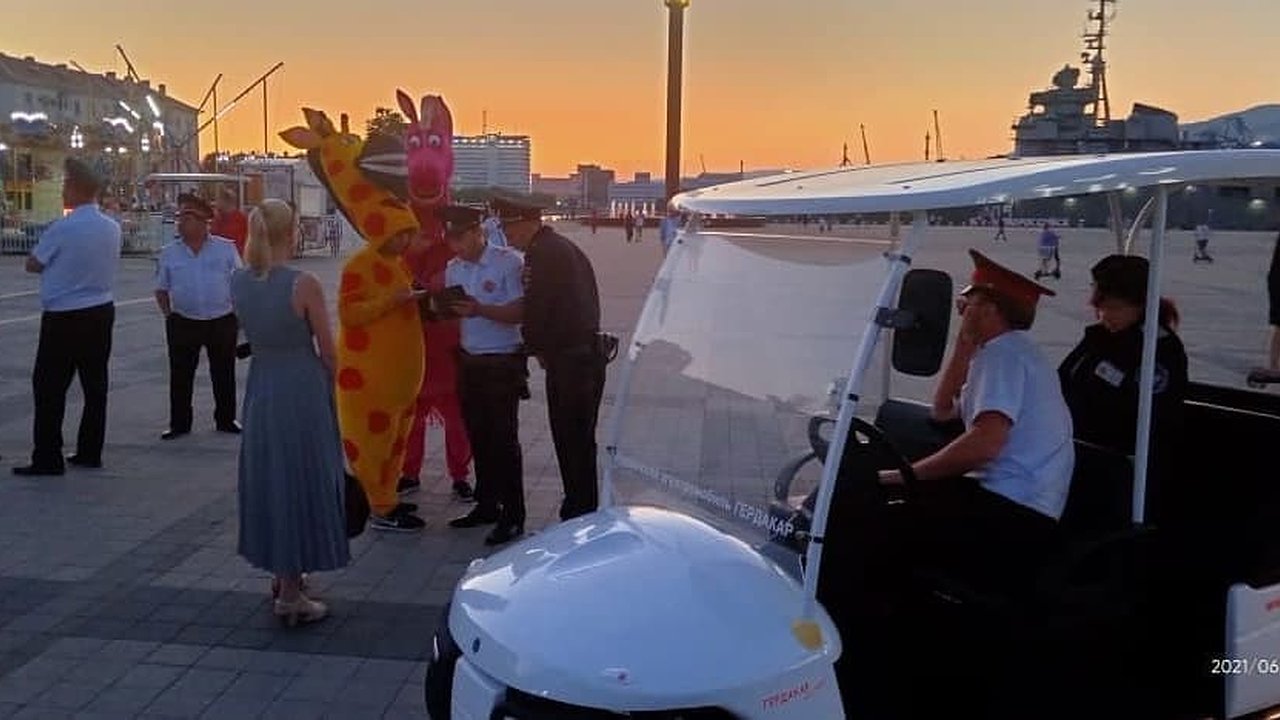 Главная картинка новости: В Новороссийске доставили в полицию розового коня и плюшевого жирафа