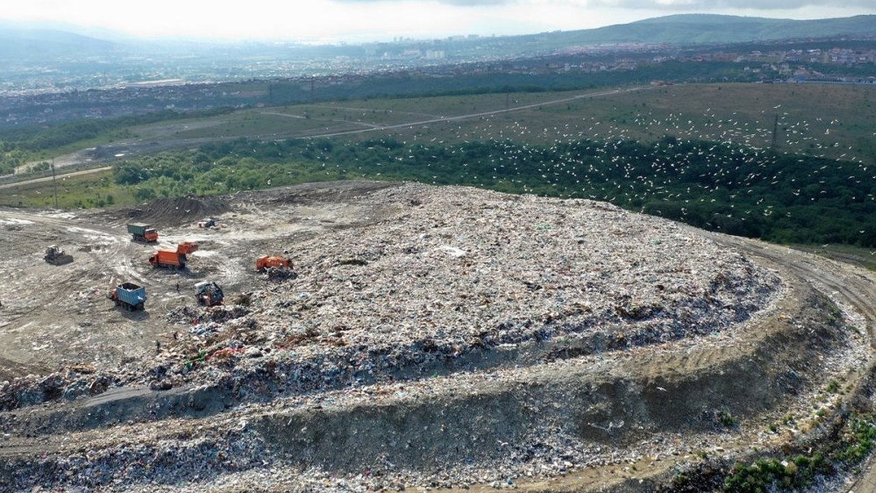 Главная картинка новости: Росприроднадзор проверит свалку под Новороссийском