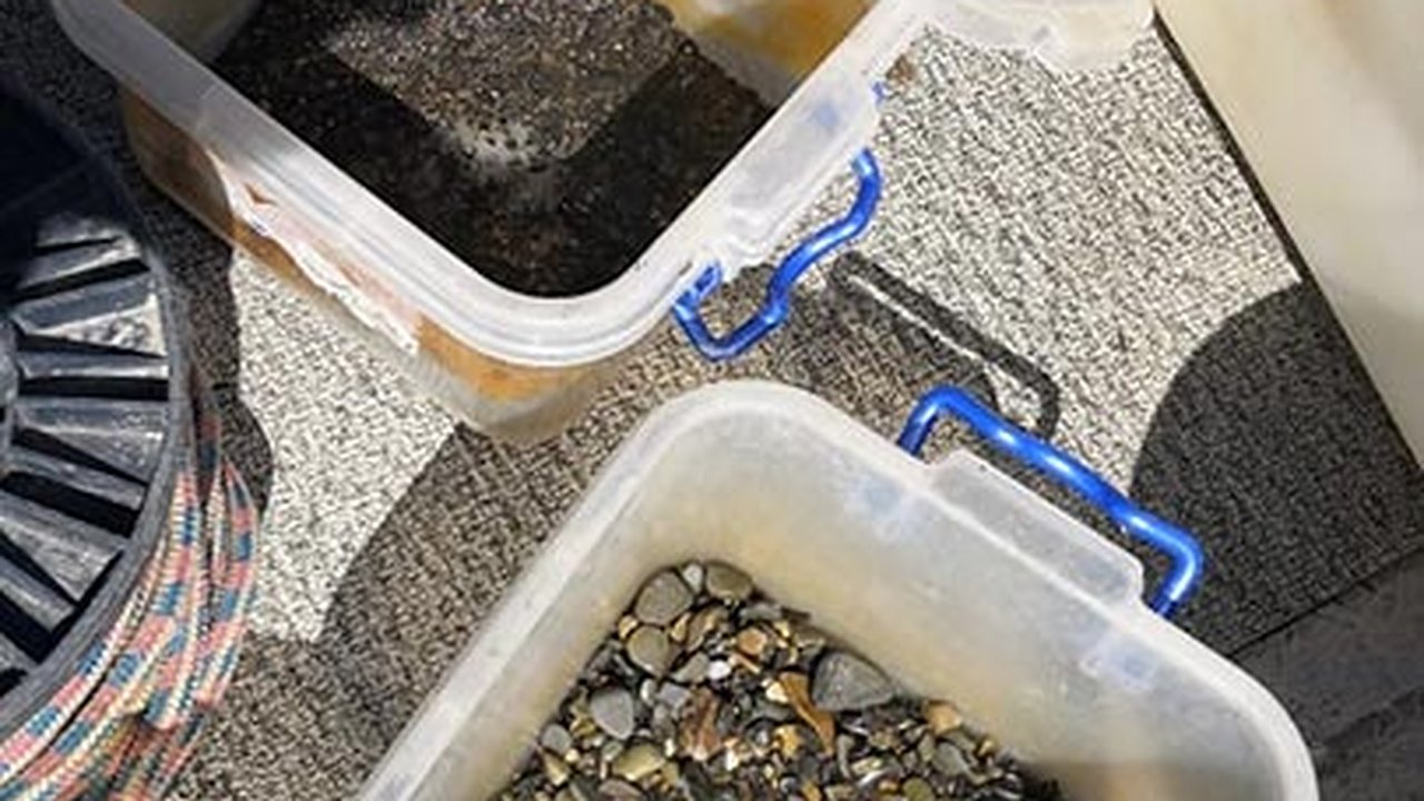 Главная картинка новости: Новороссийские ученые взяли пробы морской воды возле терминала КТК