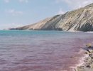 Между Новороссийском и Анапой покраснело Черное море: видео