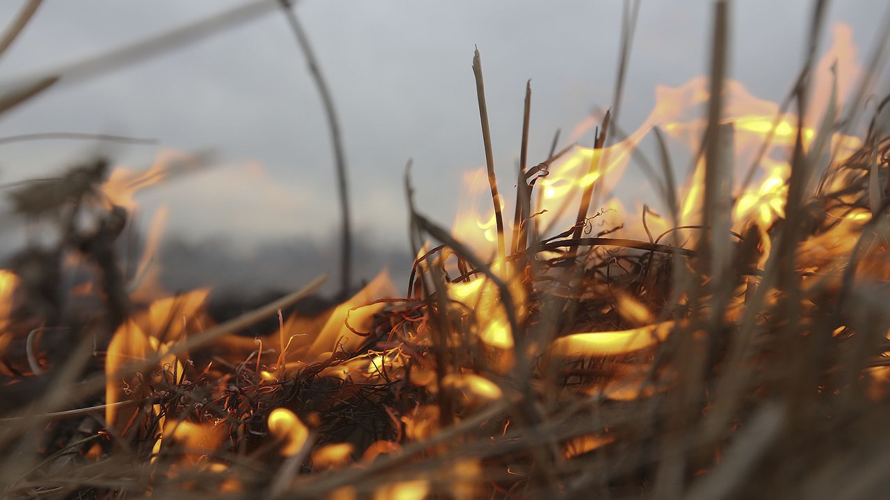Главная картинка новости: За костры и пал травы новороссийцам теперь грозят штрафы