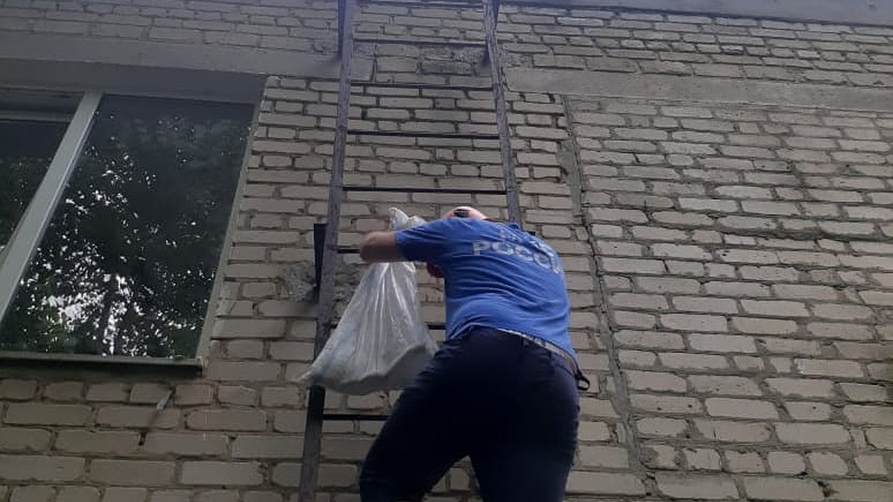 Главная картинка новости: Спасатели достали кота с крыши детского сада в Гайдуке. Видео