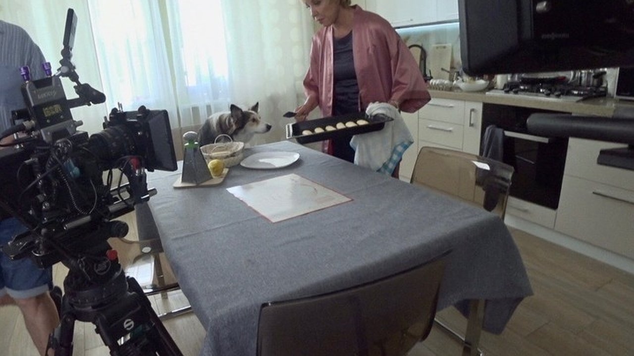 Главная картинка новости: В Новороссийске закончились съемки детективного сериала «Дама с собачкой»: как это было