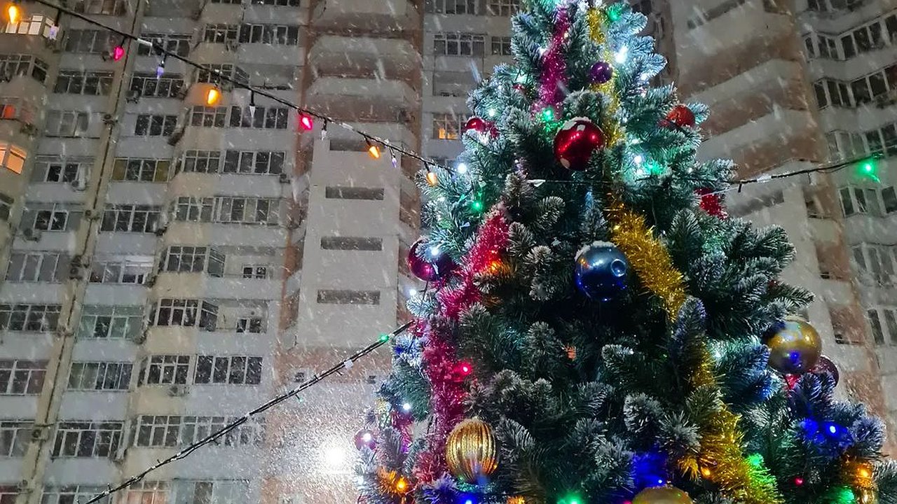 Главная картинка новости: Новороссийск окутало снежным покрывалом. 20 сказочных фото